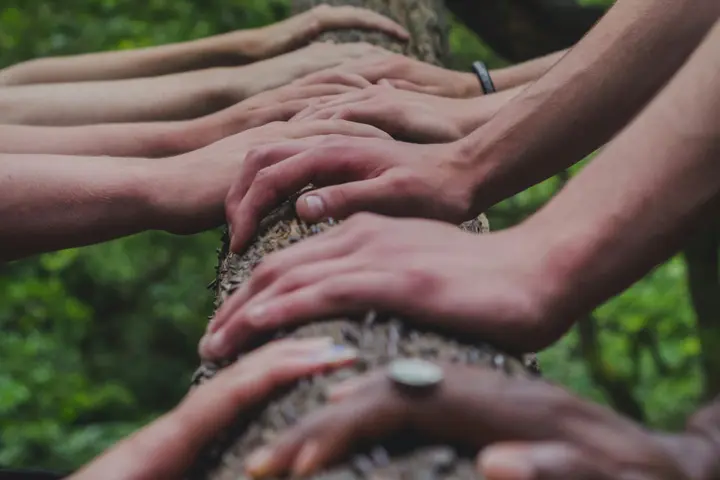 Many hands of different skin tones resting together along a fallen branch, green woodland behind.